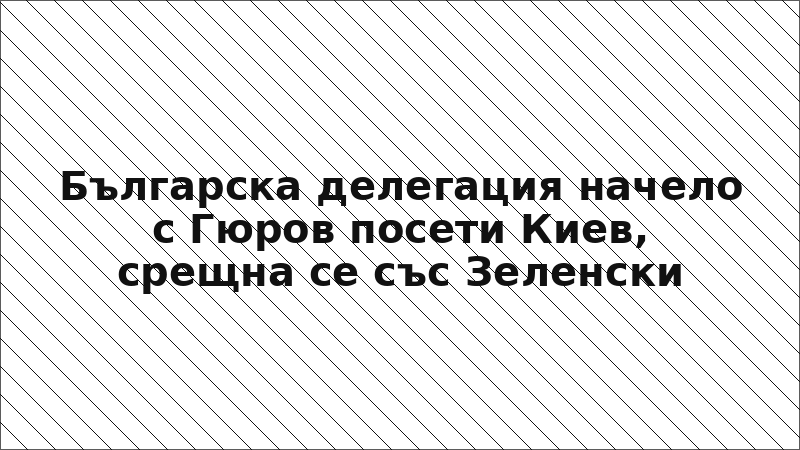 Българска делегация начело с Гюров посети Киев, срещна се със Зеленски