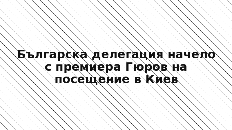 Българска делегация начело с премиера Гюров на посещение в Киев