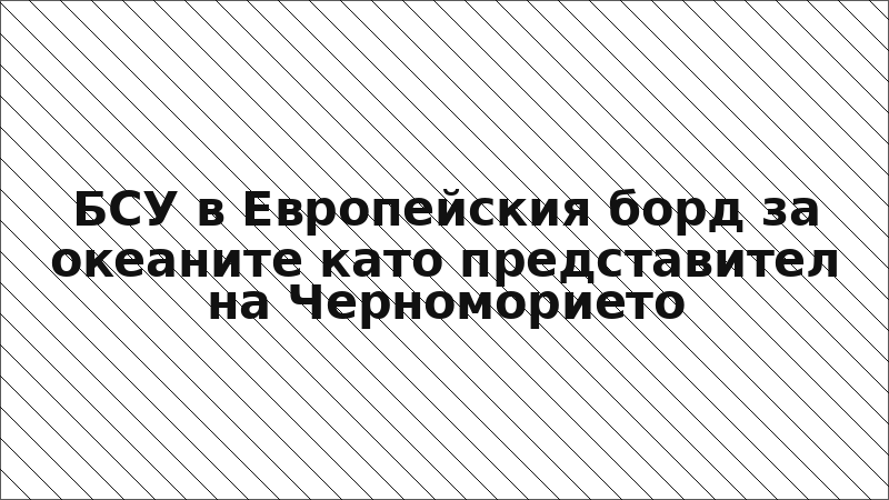 БСУ в Европейския борд за океаните като представител на Черноморието