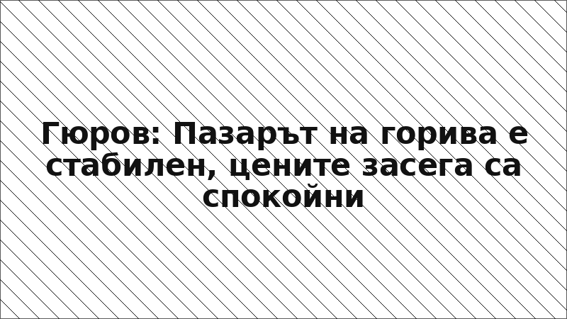 Гюров: Пазарът на горива е стабилен, цените засега са спокойни