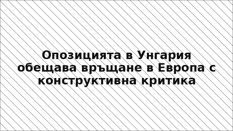 Опозицията в Унгария обещава връщане в Европа с конструктивна критика