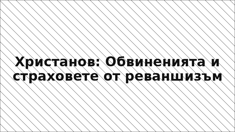 Христанов: Обвиненията и страховете от реваншизъм
