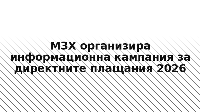МЗХ организира информационна кампания за директните плащания 2026