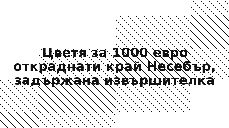 Цветя за 1000 евро откраднати край Несебър, задържана извършителка