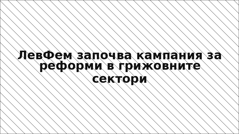 ЛевФем започва кампания за реформи в грижовните сектори