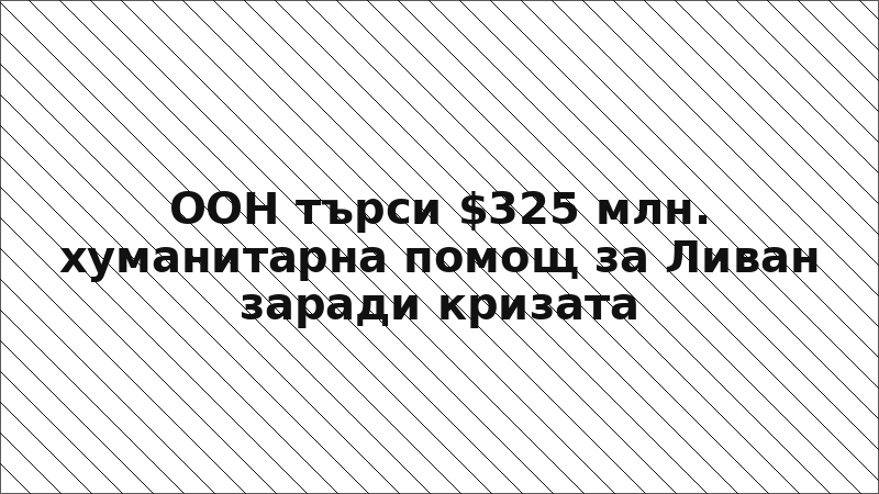 ООН търси $325 млн. хуманитарна помощ за Ливан заради кризата