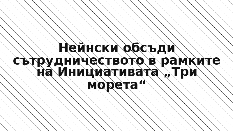 Нейнски обсъди сътрудничеството в рамките на Инициативата „Три морета“