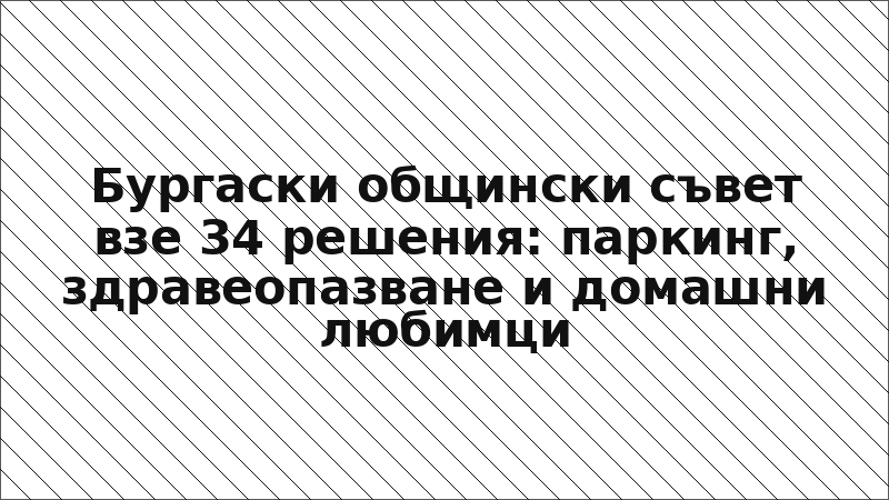 Бургаски общински съвет взе 34 решения: паркинг, здравеопазване и домашни любимци