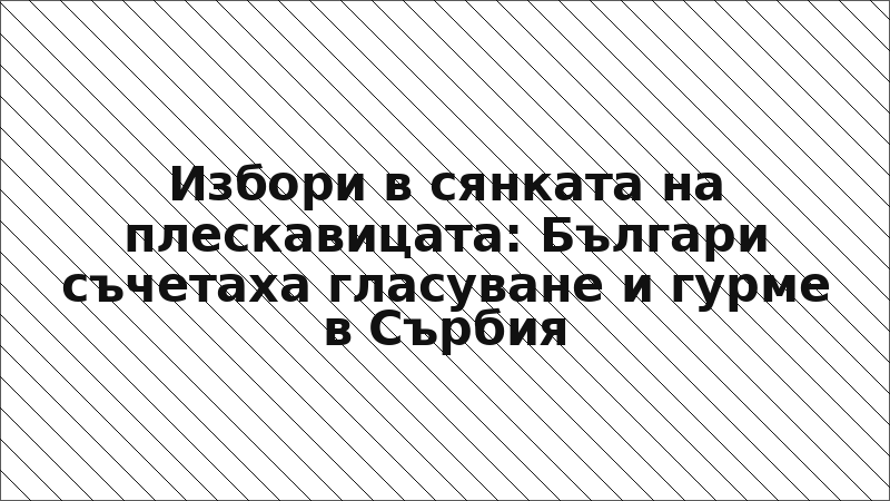 Избори в сянката на плескавицата: Българи съчетаха гласуване и гурме в Сърбия
