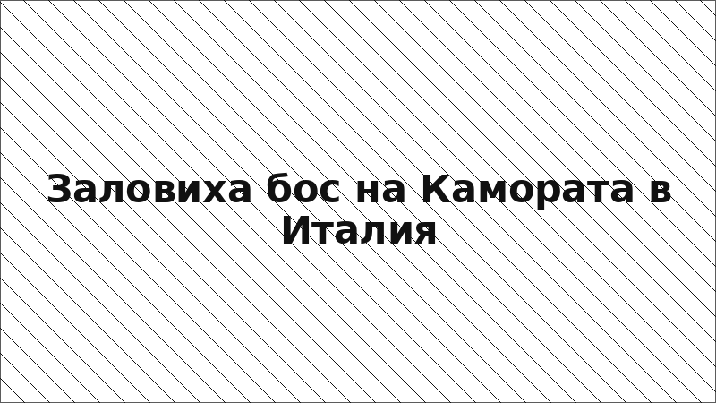Заловиха бос на Камората в Италия