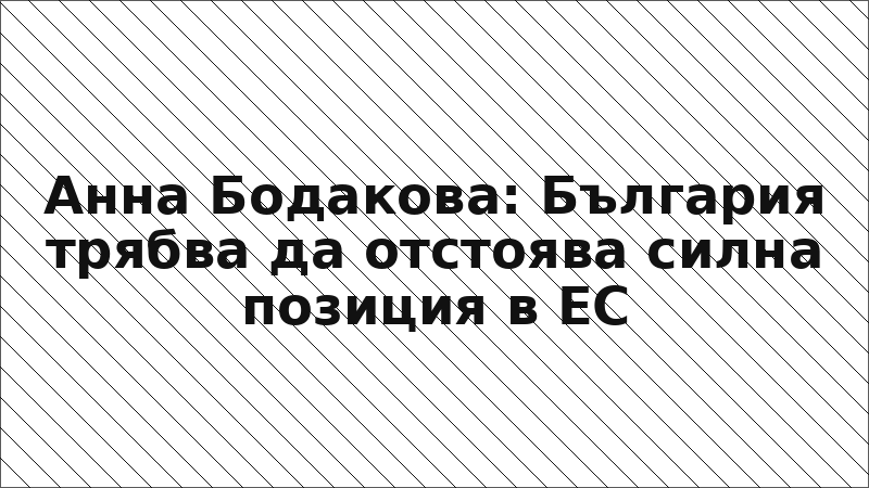 Анна Бодакова: България трябва да отстоява силна позиция в ЕС