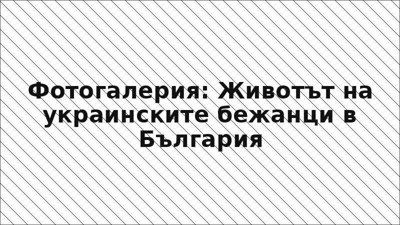 Фотогалерия: Животът на украинските бежанци в България