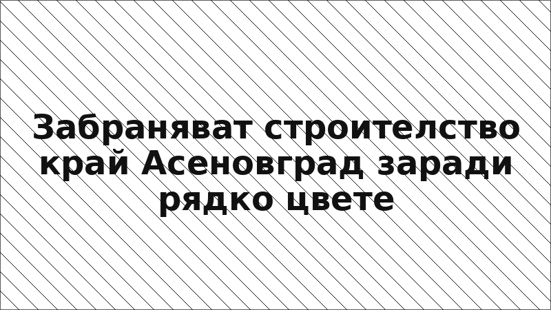 Забраняват строителство край Асеновград заради рядко цвете