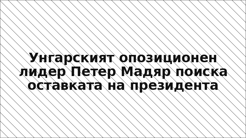 Унгарският опозиционен лидер Петер Мадяр поиска оставката на президента