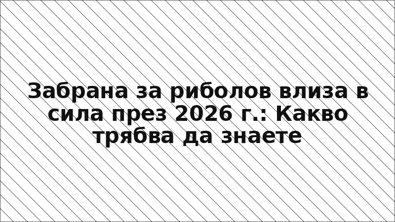 Забрана за риболов влиза в сила през 2026 г.: Какво трябва да знаете