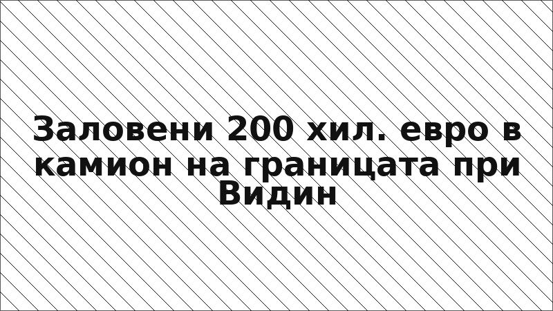 Заловeни 200 хил. евро в камион на границата при Видин