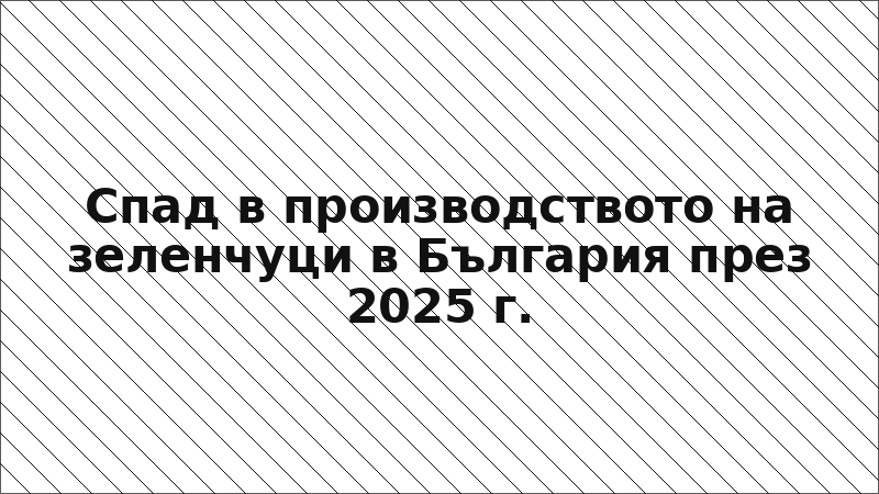 Спад в производството на зеленчуци в България през 2025 г.