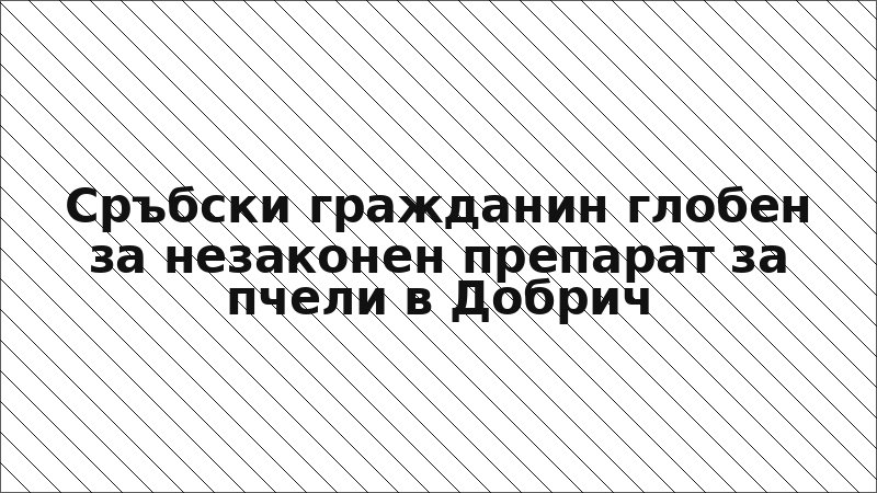Сръбски гражданин глобен за незаконен препарат за пчели в Добрич