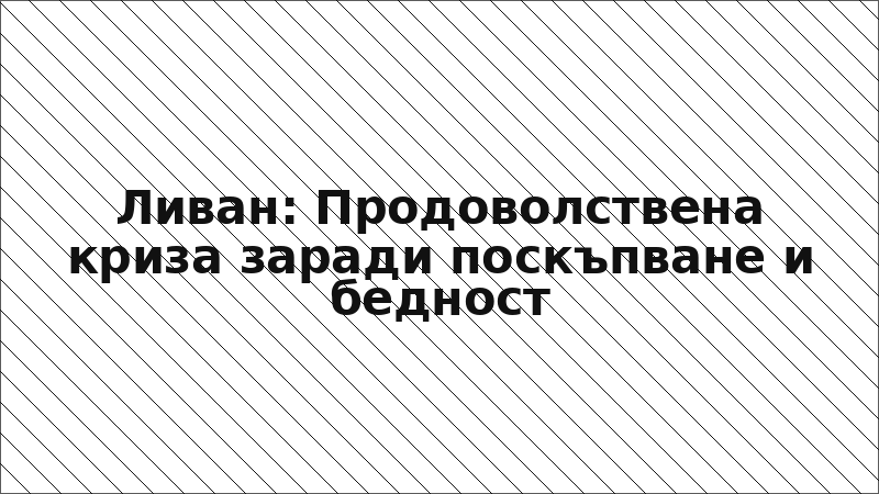 Ливан: Продоволствена криза заради поскъпване и бедност