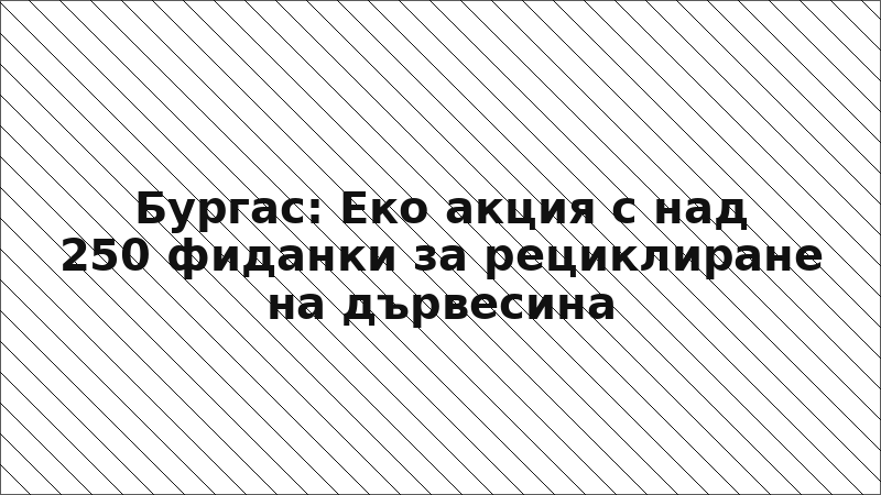 Бургас: Еко акция с над 250 фиданки за рециклиране на дървесина