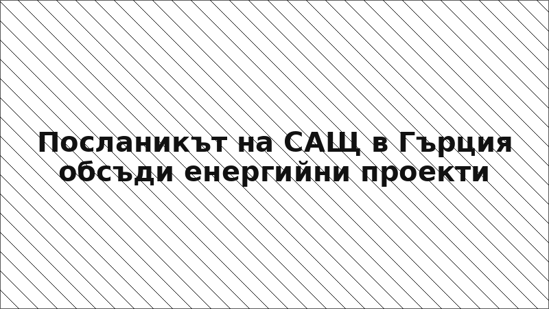 Посланикът на САЩ в Гърция обсъди енергийни проекти