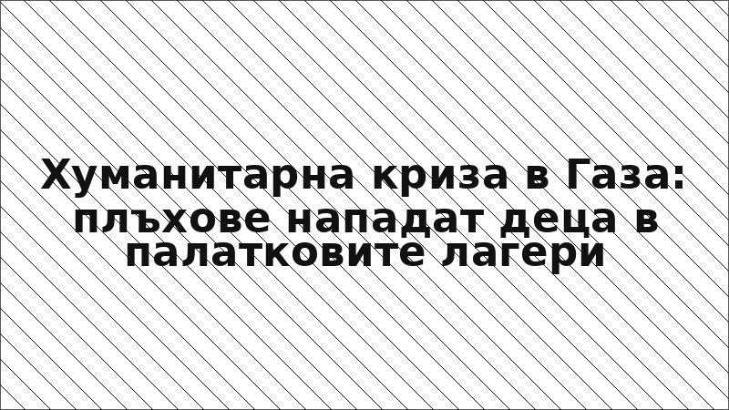 Хуманитарна криза в Газа: плъхове нападат деца в палатковите лагери