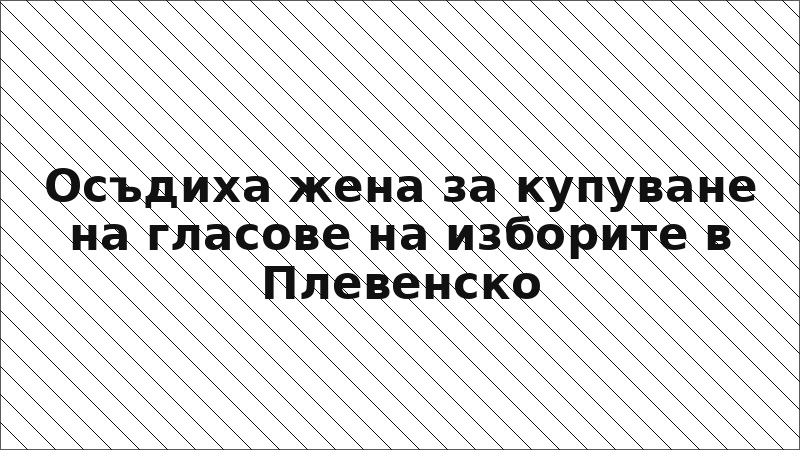 Осъдиха жена за купуване на гласове на изборите в Плевенско