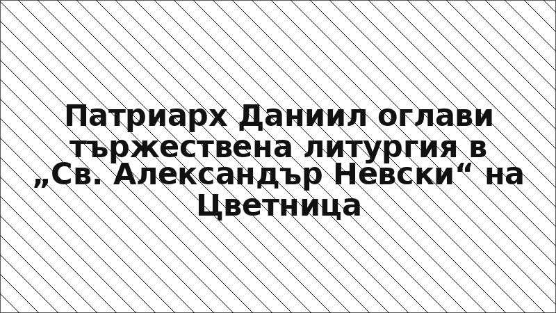 Патриарх Даниил оглави тържествена литургия в „Св. Александър Невски“ на Цветница