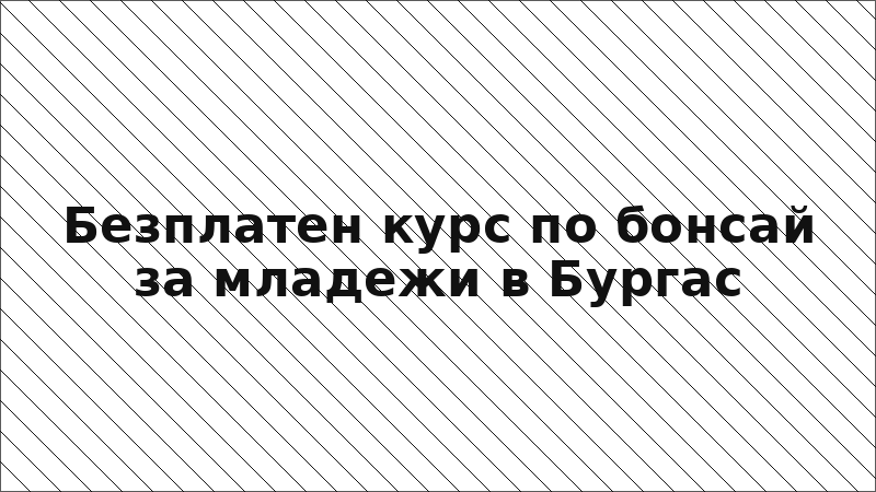 Безплатен курс по бонсай за младежи в Бургас