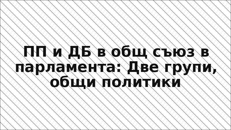 ПП и ДБ в общ съюз в парламента: Две групи, общи политики