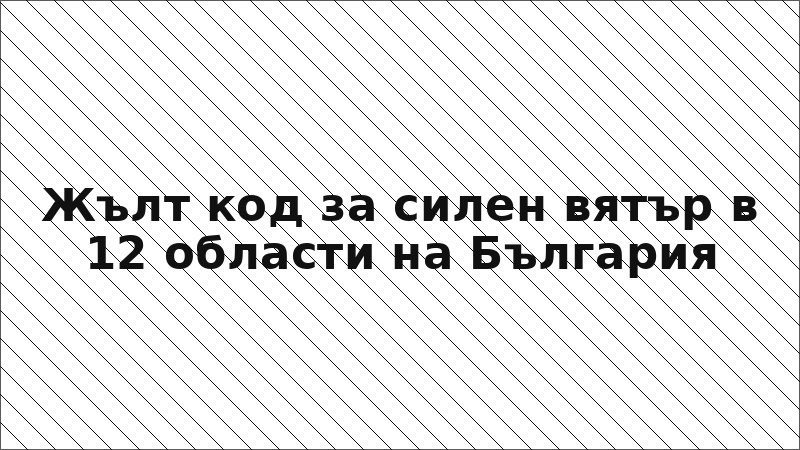 Жълт код за силен вятър в 12 области на България