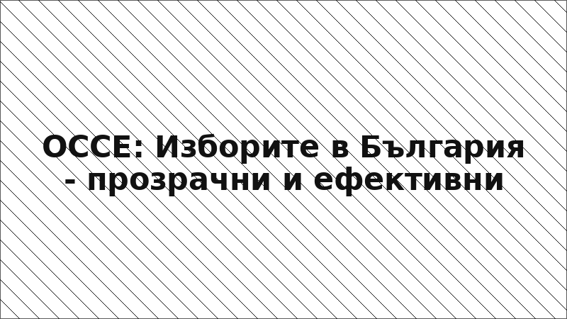 ОССЕ: Изборите в България - прозрачни и ефективни