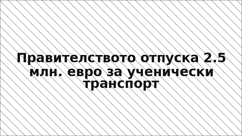 Правителството отпуска 2.5 млн. евро за ученически транспорт