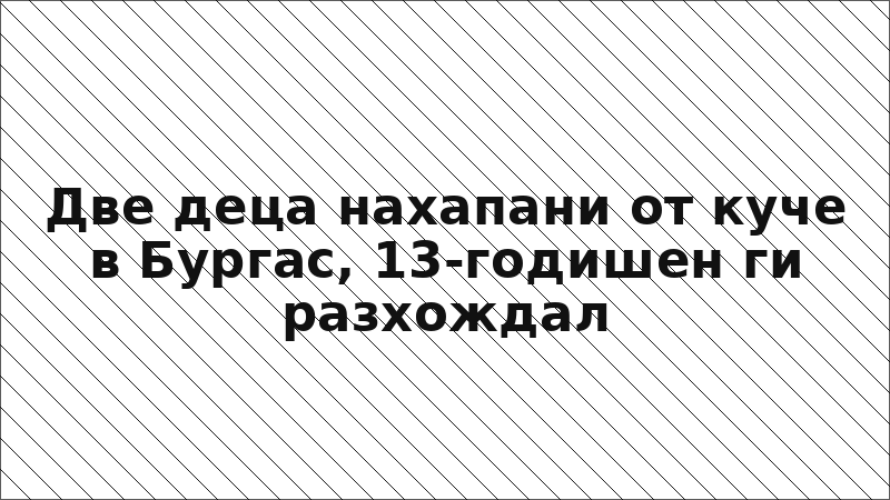 Две деца нахапани от куче в Бургас, 13-годишен ги разхождал