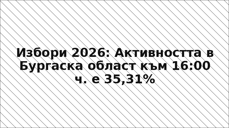 Избори 2026: Активността в Бургаска област към 16:00 ч. е 35,31%