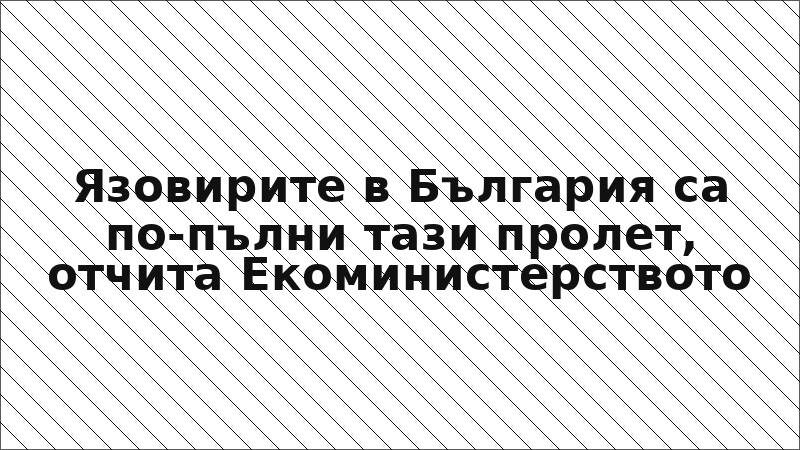 Язовирите в България са по-пълни тази пролет, отчита Екоминистерството