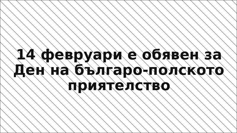 14 февруари е обявен за Ден на българо-полското приятелство