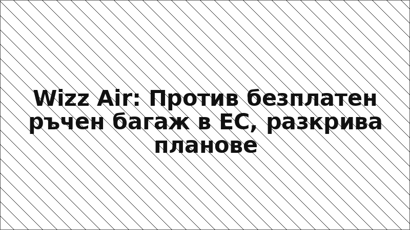 Wizz Air: Против безплатен ръчен багаж в ЕС, разкрива планове