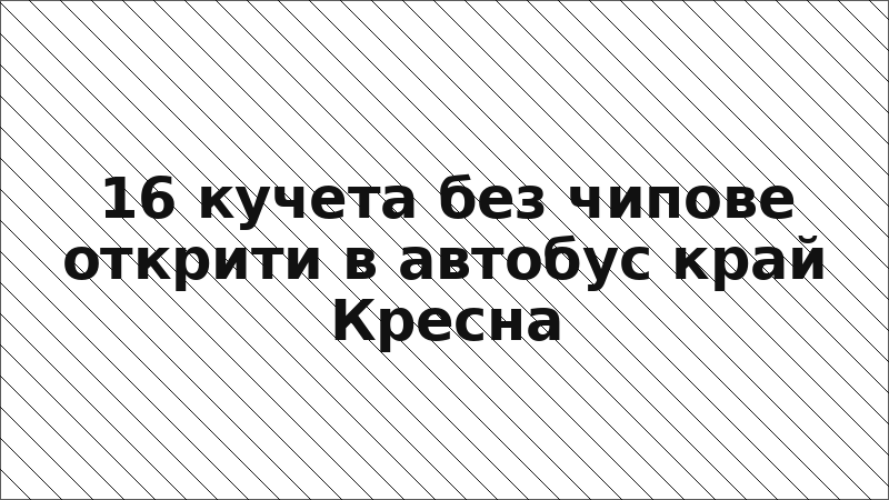 16 кучета без чипове открити в автобус край Кресна