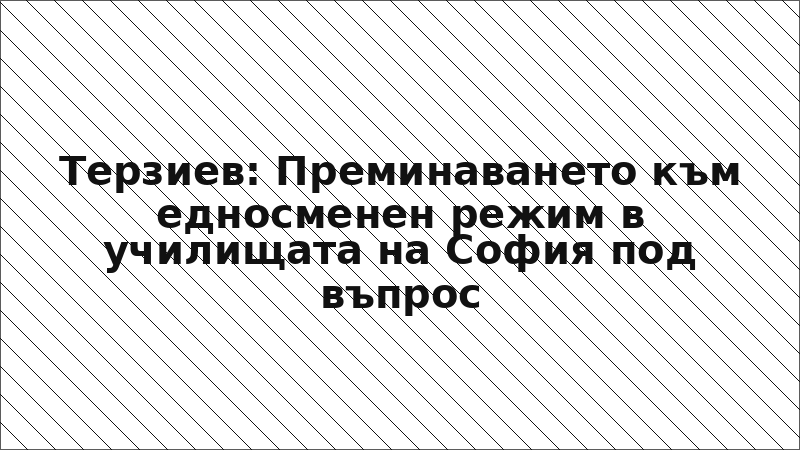 Терзиев: Преминаването към едносменен режим в училищата на София под въпрос