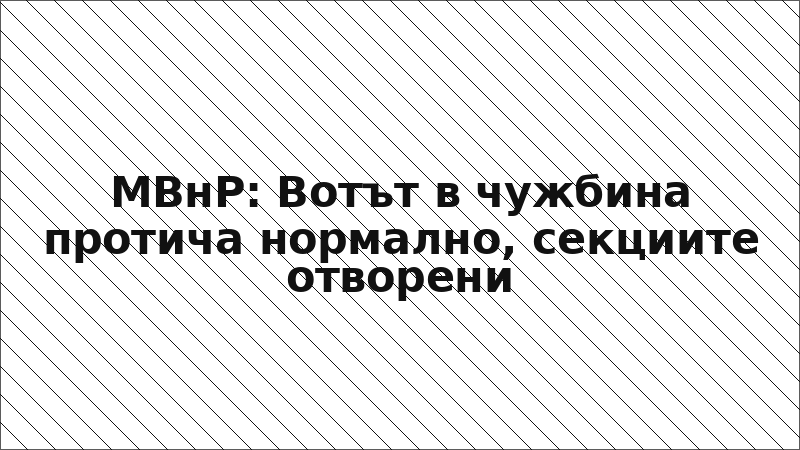 МВнР: Вотът в чужбина протича нормално, секциите отворени