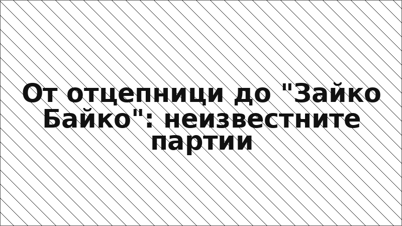 От отцепници до "Зайко Байко": неизвестните партии