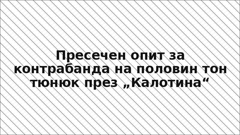 Пресечен опит за контрабанда на половин тон тюнюк през „Калотина“