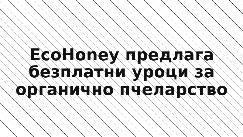 EcoHoney предлага безплатни уроци за органично пчеларство