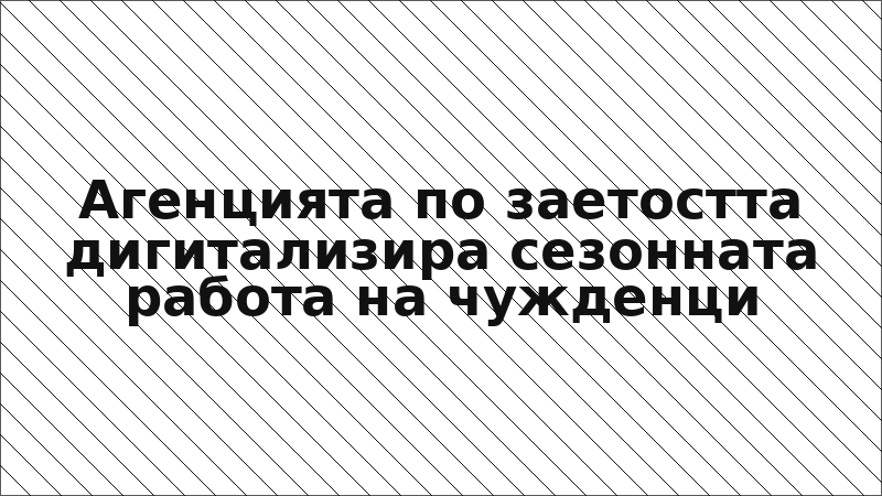 Агенцията по заетостта дигитализира сезонната работа на чужденци
