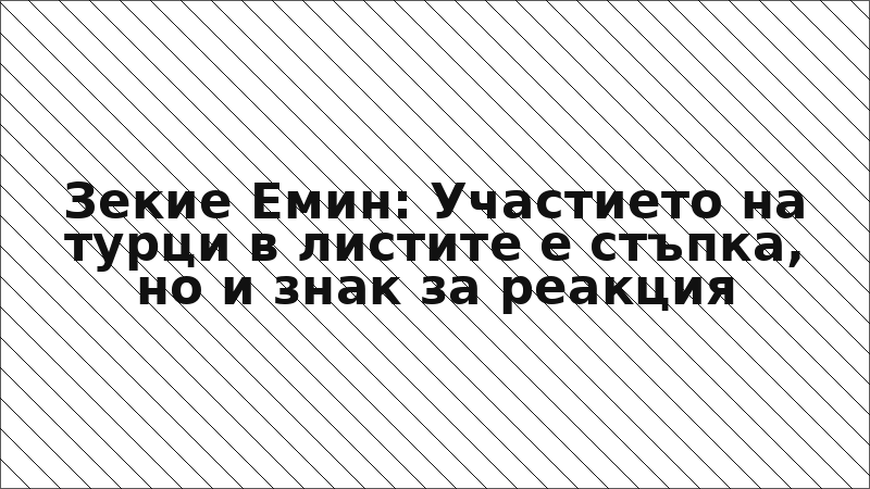 Зекие Емин: Участието на турци в листите е стъпка, но и знак за реакция