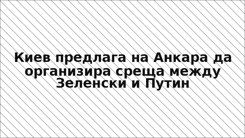 Киев предлага на Анкара да организира среща между Зеленски и Путин