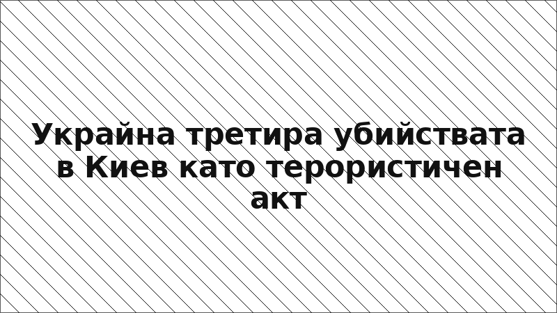 Украйна третира убийствата в Киев като терористичен акт