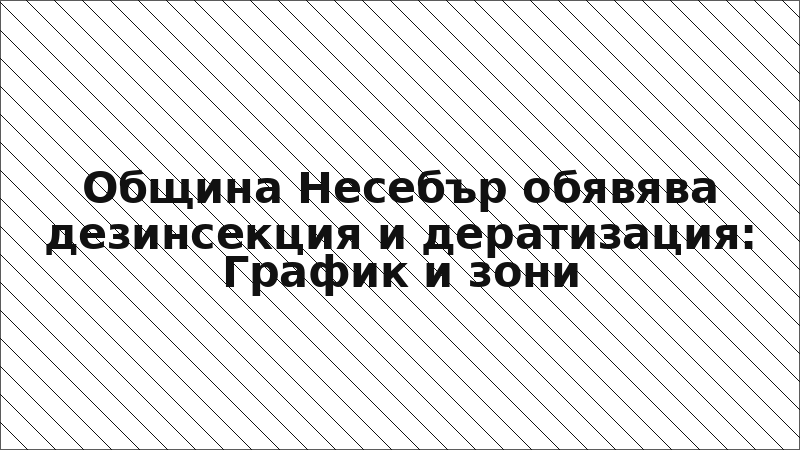 Община Несебър обявява дезинсекция и дератизация: График и зони