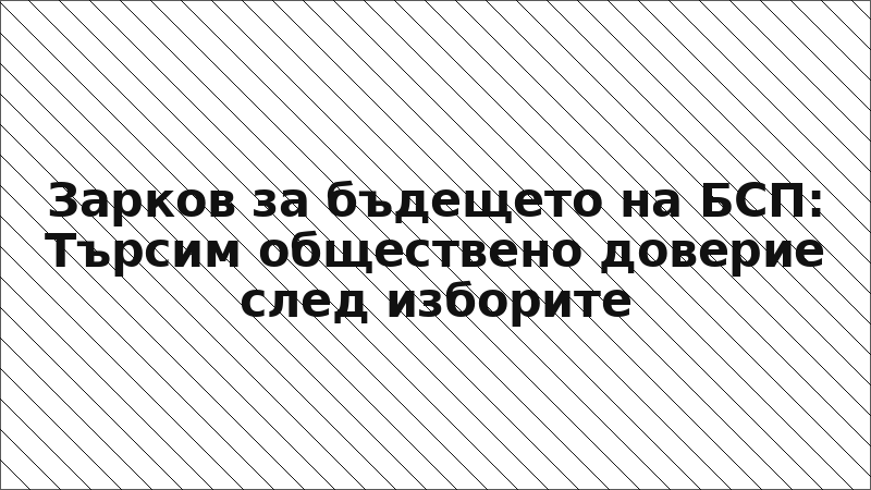 Зарков за бъдещето на БСП: Търсим обществено доверие след изборите
